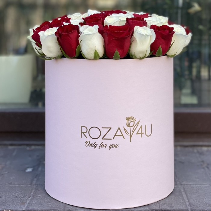 51 роза красно-белый микс коробке